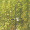 Esschert Design - Best For Birds Voederstation - Groen - 52 x 18 x 201 cm