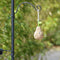 Esschert Design - Best For Birds Voederstation - Groen - 52 x 18 x 201 cm