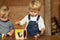 Esschert Design - Doe Het Zelf Nestkastje Met Verf - 15 x 12 x 20 cm