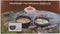 Esschert Design - Dutch Oven 6,5L Kampvuurpot 12 - Dutch oven - Staal - Zwart