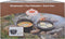 Esschert Design - Dutch Oven 6,5L Kampvuurpot 12 - Dutch oven - Staal - Zwart