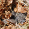 Esschert Design - Egelmand Wilgentakken - Bruin - 53 x 41 x 21 cm