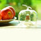 Esschert Design Fruitvliegenval Appel Transparant