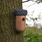 Esschert Design - Nestkast Eikel - Vogelhuisje Winterkoning