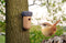 Esschert Design - Nestkast Eikel - Vogelhuisje Winterkoning