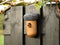 Esschert Design - Nestkast Eikel - Vogelhuisje Winterkoning