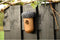 Esschert Design - Nestkast Eikel - Vogelhuisje Winterkoning