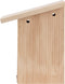 Esschert Design Nestkast Pimpelmees in Giftbox