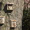 Esschert Design Nestkast Roodborst in Giftbox
