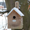 Esschert Design Pimpelmees - Vogelhuisje - 20 cm x 18 cm x 31 cm