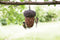 Esschert Design Pindavoedersilo - Vogelvoederhuisje - Grijs - 14 cm x 22 cm