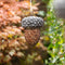 Esschert Design Pindavoedersilo - Vogelvoederhuisje - Grijs - 14 cm x 22 cm