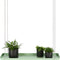 Esschert - Design - Plantenblad - hangend - rechthoekig - L - groen