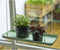 Esschert Design Plantenblad hangend rechthoekig S groen