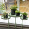 Esschert - Design - Plantenblad - met - klem - rond - L - groen