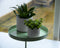 Esschert - Design - Plantenblad - met - klem - rond - L - groen