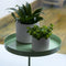 Esschert - Design - Plantenblad - met - klem - rond - L - groen