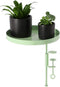 Esschert - Design - Plantenblad - met - klem - rond - L - groen