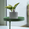 Esschert Design Plantenblad met klem rond M groen