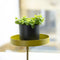 Esschert - Design - Plantenblad - met - klem - rond - S - goudkleurig