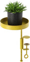 Esschert - Design - Plantenblad - met - klem - rond - S - goudkleurig