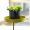 Esschert - Design - Plantenblad - met - klem - rond - S - goudkleurig