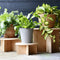 Esschert Design plantentafeltje van bamboe - afmeting: D18 cm x H8.5 cm