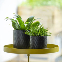 Esschert design - Vensterbankklem goud L