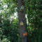 Esschert Design Vogelhuisje - Assorti - 18 x 14 x 21 cm