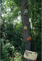 Esschert Design Vogelhuisje - Assorti - 18 x 14 x 21 cm