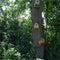 Esschert Design Vogelhuisje - Assorti - 18 x 14 x 21 cm
