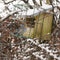 Esschert Design Vogelhuisje