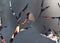 Esschert design Vuurkorf Birds on Twig zwart