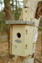 Esschert Design Winterkoning Vogelhuisje - 14 x 12 x 25 cm
