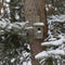 Esschert Design Winterkoning Vogelhuisje - 14 x 12 x 25 cm