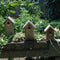 Esschert Design Winterkoning Vogelhuisje