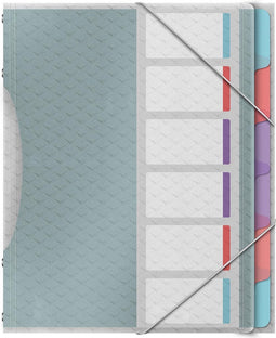 Esselte Colour'Breeze sorteermap, PP, ft A4, 6 tabs, assorti