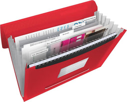 Esselte projectmap Vivida rood