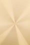 Zuiver Snow Brushed Salontafel Goud