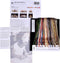 Thea Gouverneur - Borduurpakket met telpatroon - 510.05 - Voorgesorteerde DMC Garens - Moskou Rusland - Zwart Aida - 79 cm x 50 cm - DIY Kit