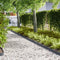 vidaXL - Grasafscheidingen - 20 - stuks - Anthraciet - 100x0,5x15 - cm - Kunststof