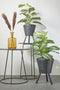 Mica Decorations Caladium Kunstplant - H100 x Ø50 cm - Groen