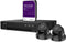 EtiamPro IP-VIDEOBEWAKINGSSET - 4-KANAALS NVR-RECORDER - 2 x IP DOME-CAMERA - 1 TB HD - KABELS