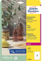 Etiket avery l7784-25 210x297mm transparant 25st | 5 stuks