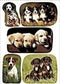 Etiket HERMA 3528 honden | 10 stuks