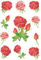 Etiket HERMA 3581 rozen | 10 stuks