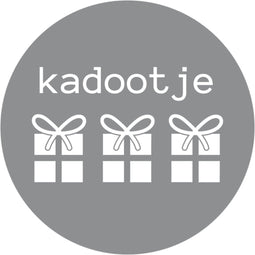 Etiket - papier - permanent - wit/zilver - rol à 500 stuks