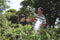 Hozelock Multi Spray PLUS - Broespistool - 6 sproeistanden - Vorstbestendig