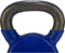 Tunturi Kettlebell - 12 kg - Vinyl - Blauw - Incl. gratis fitness app