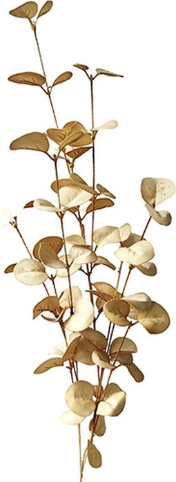 Eucalyptus bladeren 70cm old white